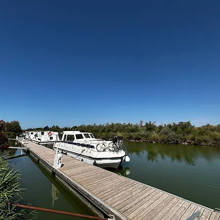Unique à Bord Du Tarpon 42 - 12 Pers. - Api-1-46-39