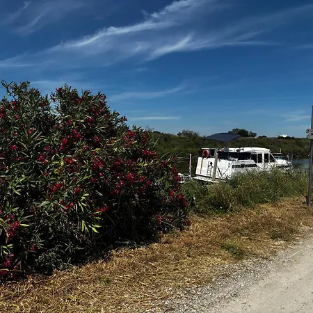 Unique à Bord Du Tarpon 42 - 12 Pers. - Api-1-46-39 Mauguio